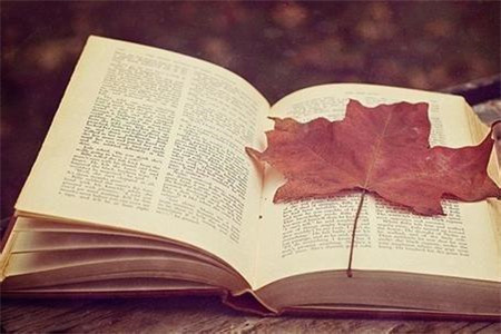 吉林中学教师资格证照片要求是？